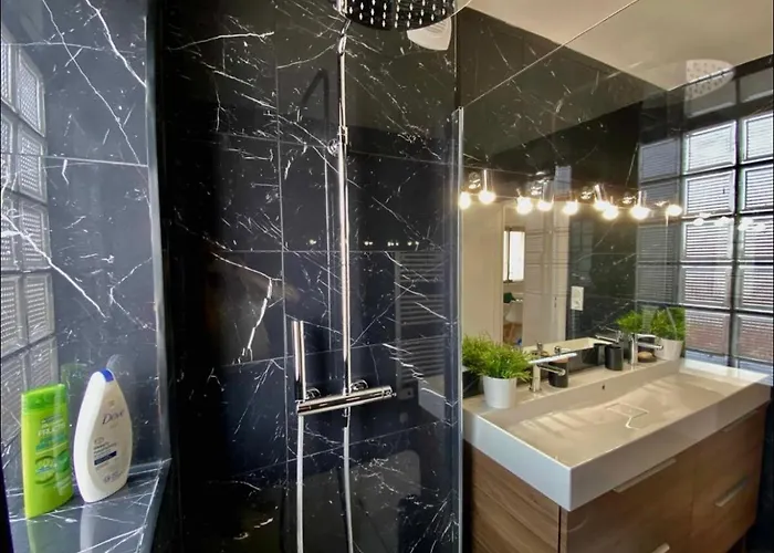 公寓 Le Point Virgule - Parking Prive - Clim 蒙托邦